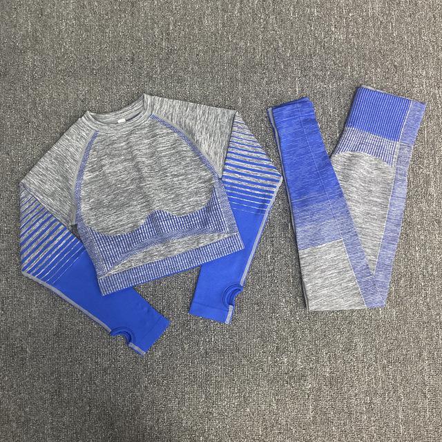 Seamless Women Long Sleeve Yoga Set