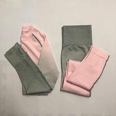 Women Seamless Leggings+Cropped Shirts Workout Suit