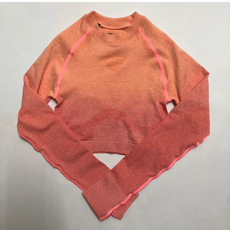 Women Seamless Leggings+Cropped Shirts Workout Suit