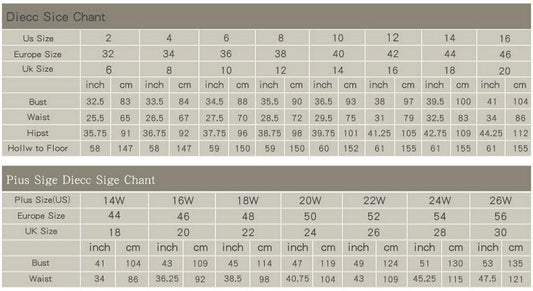 Vintage Lace Bodice Prom Dress - HER SHOP