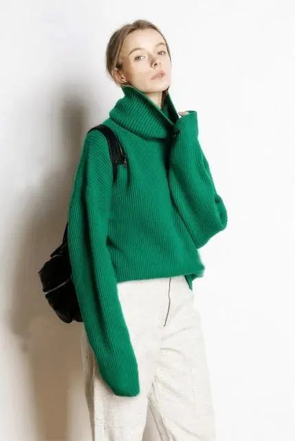 Hot Sale High Collar 5 Colors Pullover 100% Cashmere Knitted Jumpers Her Shop - HER SHOP®