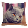 Her Shop pillow case 45X45cm / 6 Cute British Shorthair Cat Linen Pillowcase