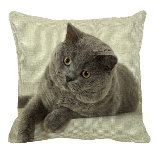 Her Shop pillow case 45X45cm / 4 Cute British Shorthair Cat Linen Pillowcase