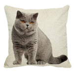 Her Shop pillow case 45X45cm / 17 Cute British Shorthair Cat Linen Pillowcase