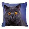 Her Shop pillow case 45X45cm / 7 Cute British Shorthair Cat Linen Pillowcase
