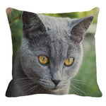 Her Shop pillow case 45X45cm / 8 Cute British Shorthair Cat Linen Pillowcase