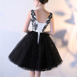Vintage Lace Bodice Prom Dress