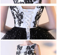 Vintage Lace Bodice Prom Dress