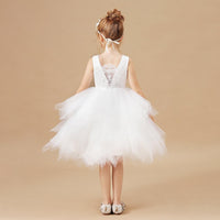 Flower Girls Lace Princess Party Dress