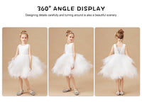 Flower Girls Lace Princess Party Dress