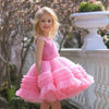 Puffy Flower Girl Princess Dress