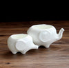 Flower pot planters White elephant ceramic pote de vidro for sale garden pots flower vasi macetas pot fleur bonsai pots