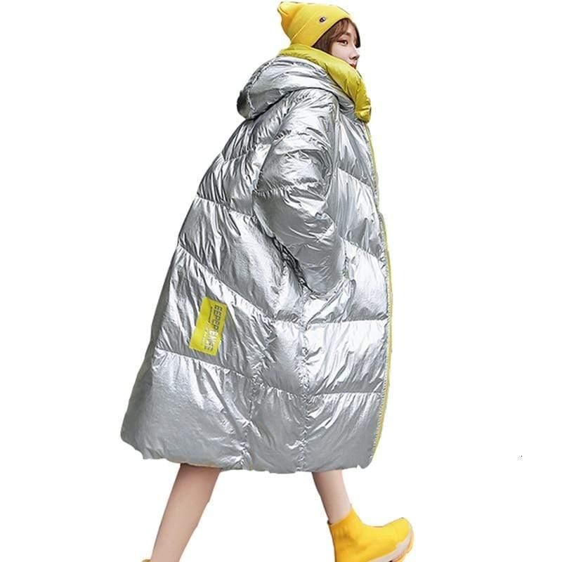 Winter Korean Hooded Warm Down Cotton Jacket - HER SHOP
